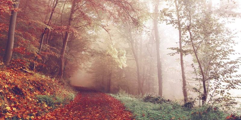 厨房水槽下空间大改造：从杂乱死角到收纳宝库的终极指南