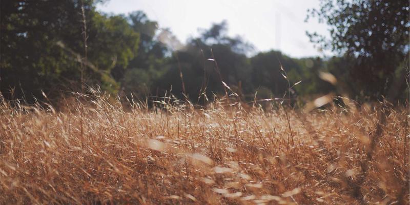 告别油烟困扰！开放式厨房完美解决方案：高性能油烟机选购指南与隐形隔断设计全解析
