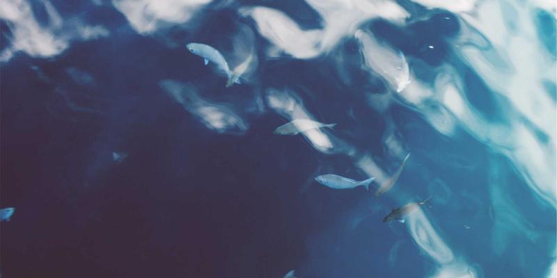 四季流转,家随心动:从厨房到卧室的应季换装全攻略