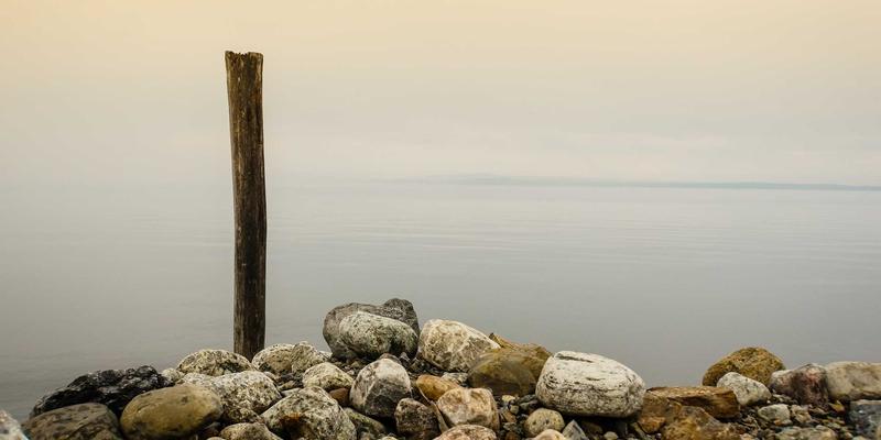 毛孩安心宅：打造宠物友好型家居，从厨房到客厅的安全耐用指南